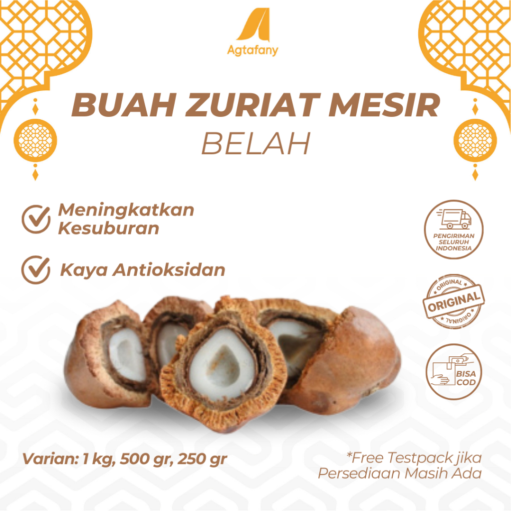 

500 Gram Buah Zuriat Mesir Sudah Dibelah | Buah Zuriyat Belah Doum Promil Free Testpack