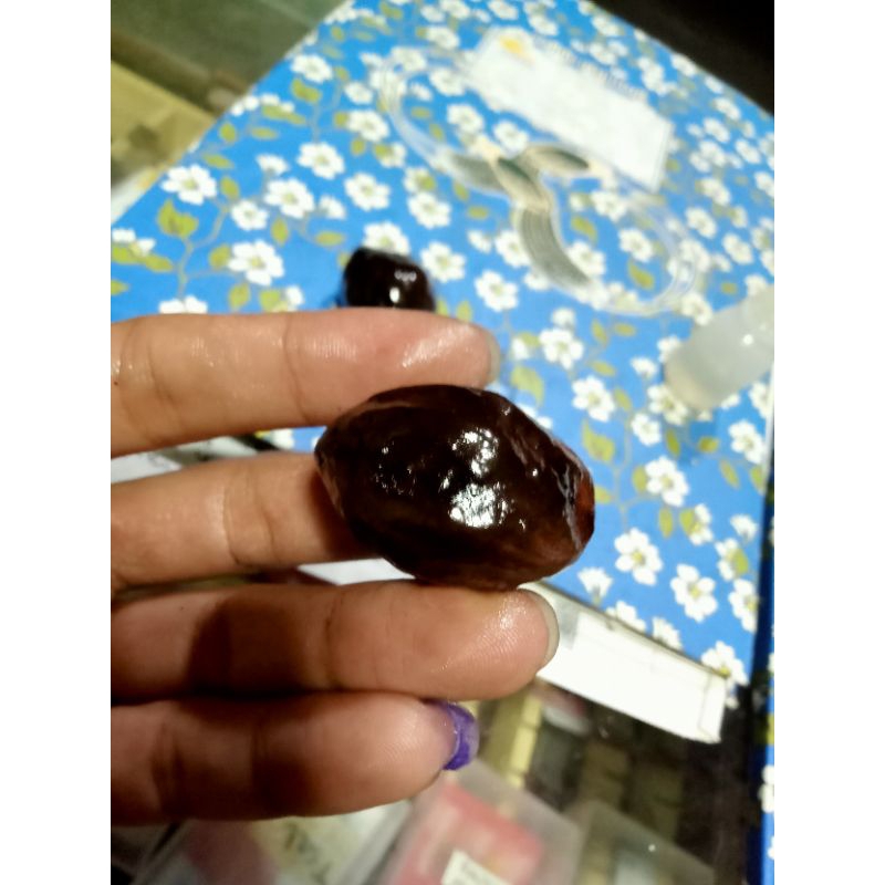 MUNCANG KEMIRI ADU JAWA ORI