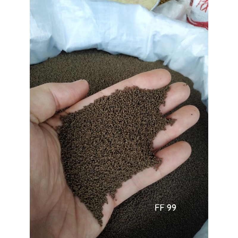 PAKAN IKAN KECIL // BIBIT IKAN // FF 999