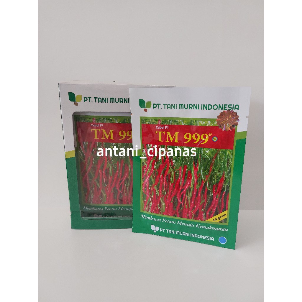 benih cabe / cabai keriting hibrida F1 TM 999