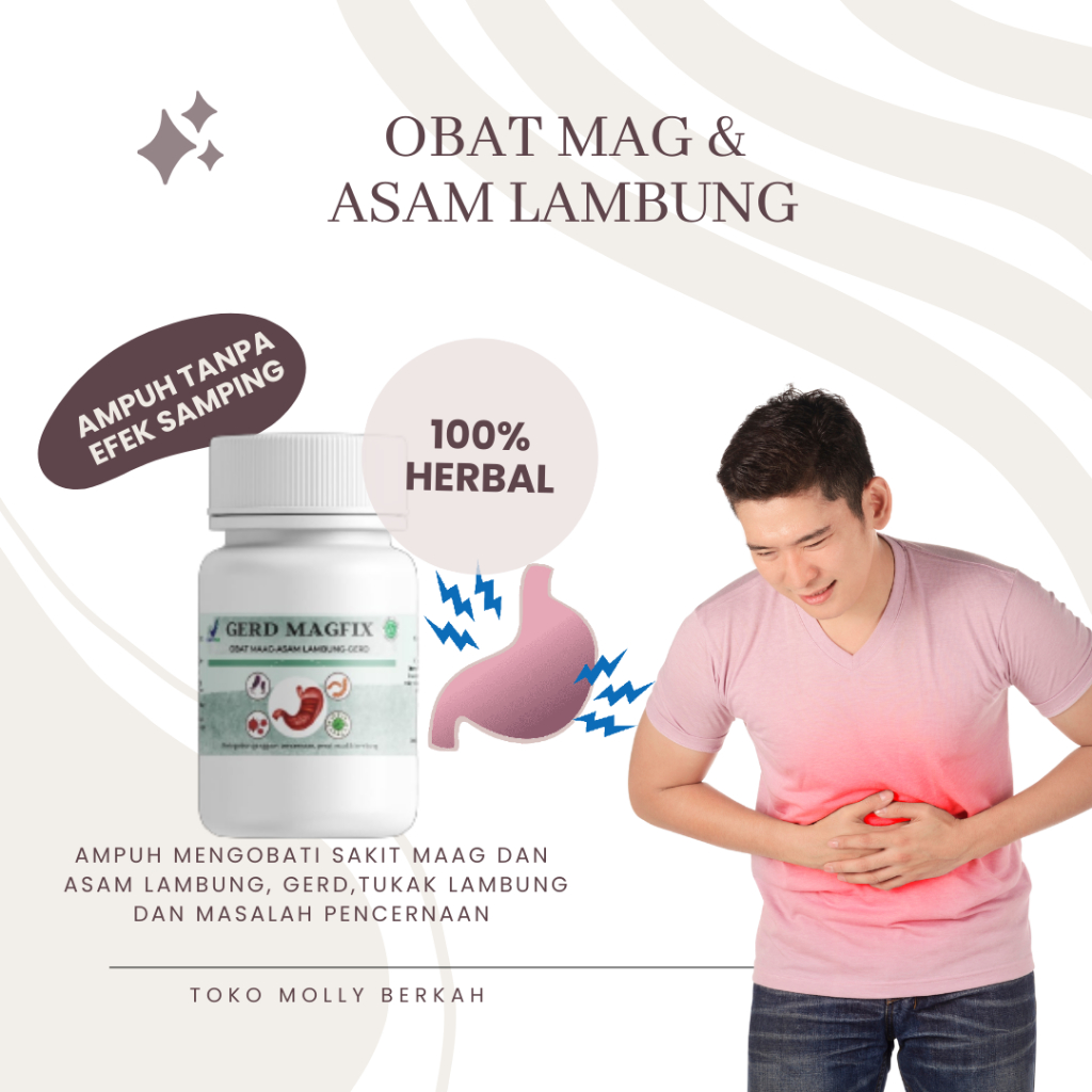 Gerd Magfix Obat Maag Obat Asam Lambung dan GERD Obat Sakit Perut Mual Muntah