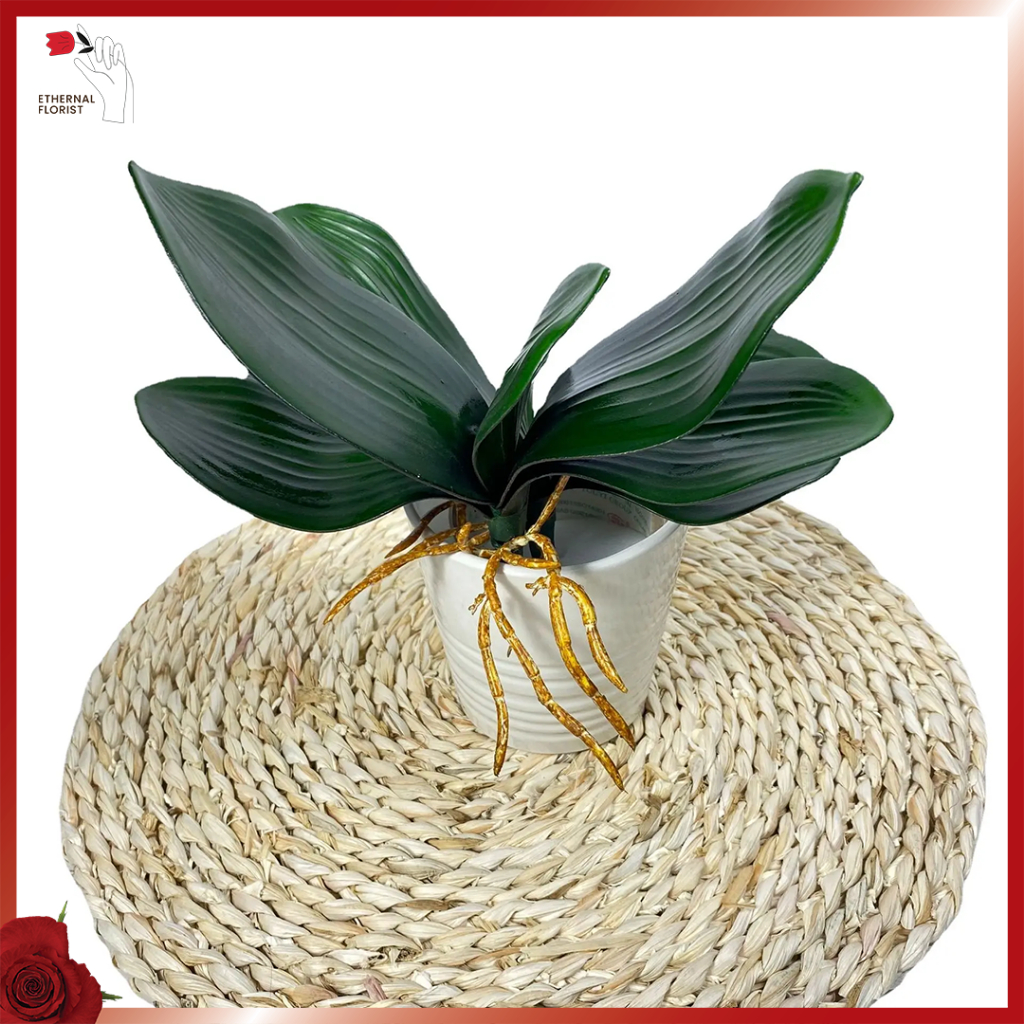 Daun Anggrek Latex/Daun Anggrek Latex Jumbo/Daun Anggrek Artificial