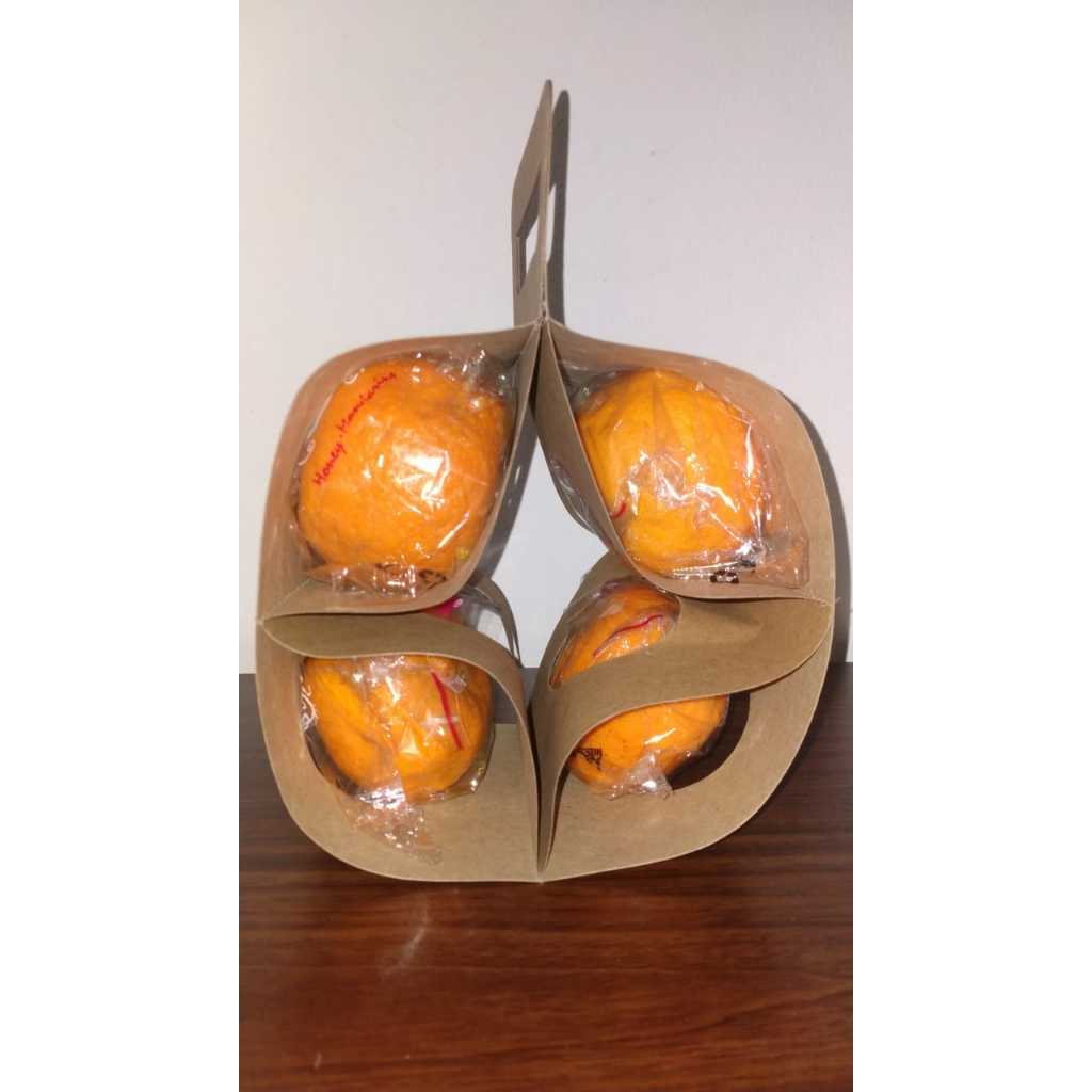 

JERUK PONKAM HDL ISI 4 + PACKAGING HANG BAG JERUK