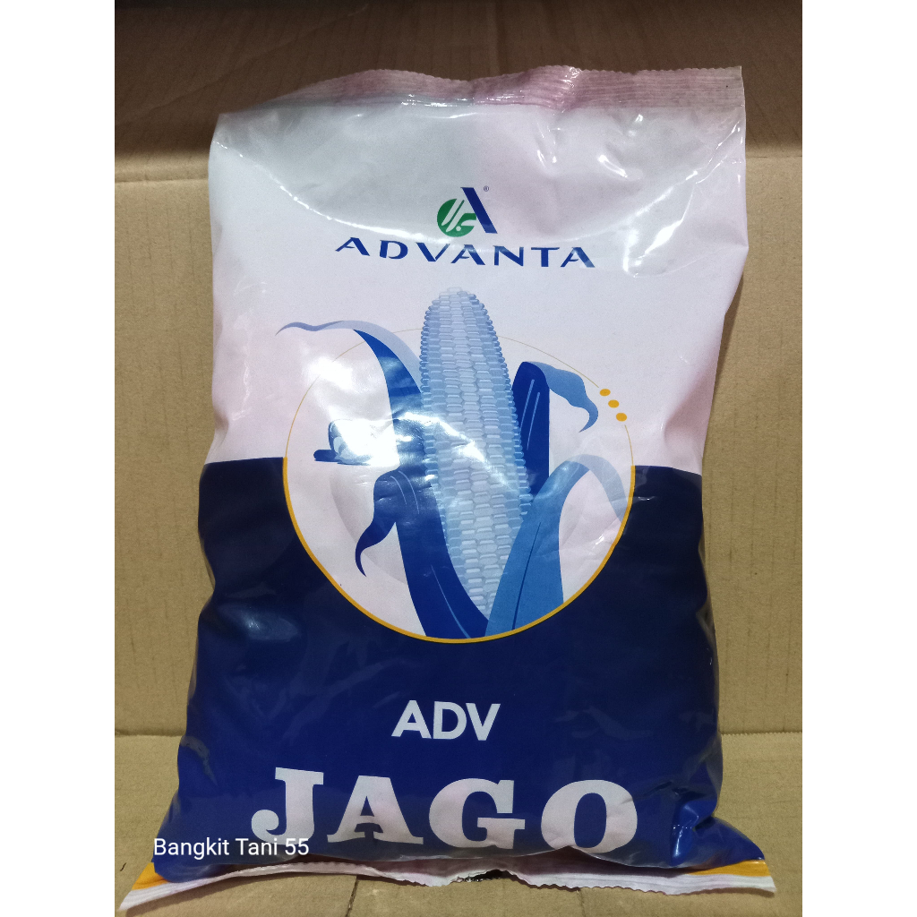 Benih Jagung Hibrida ADV Jago PAC 789 1 kg ADVANTA