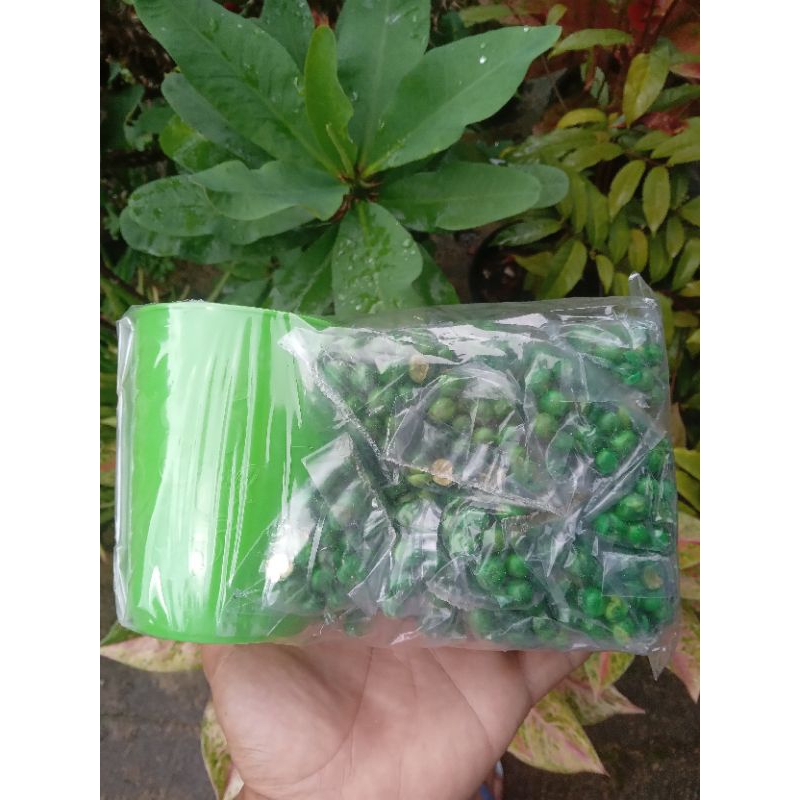 

Kacang Polong kemasan Hemat 24 pcs