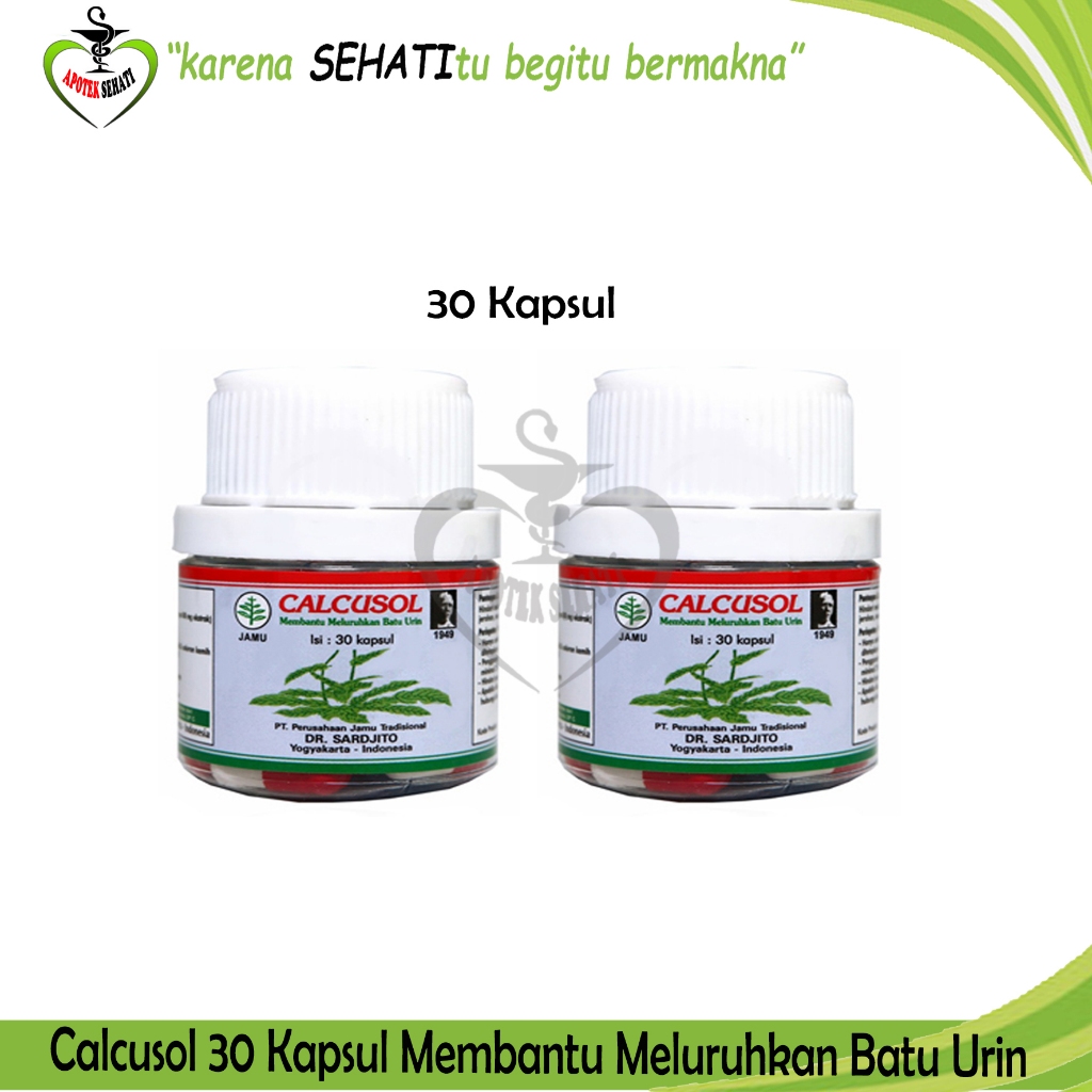 CALCUSOL 30 KAPSUL SUPLEMEN HERBAL BATU GINJAL (BATU URIN) SERTIFIKASI HALAL BPOM