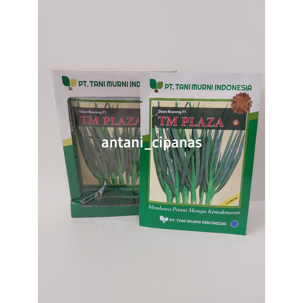 benih daun bawang f1 TM PLAZA 5.000 biji