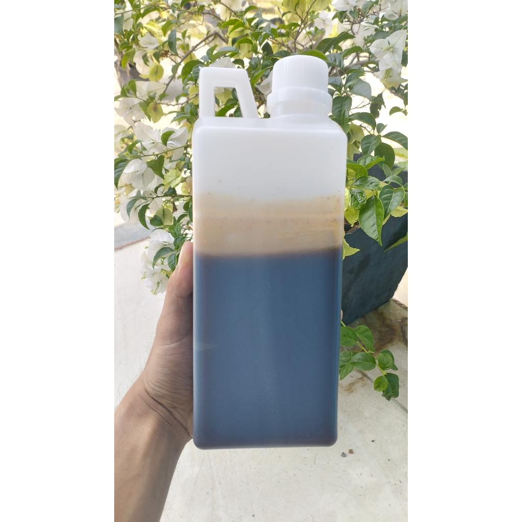

MADU HUTAN AKASIA RIAU | 100% MURNI TANPA CAMPURAN | 1KG | AKASIA CRASSICARPA |