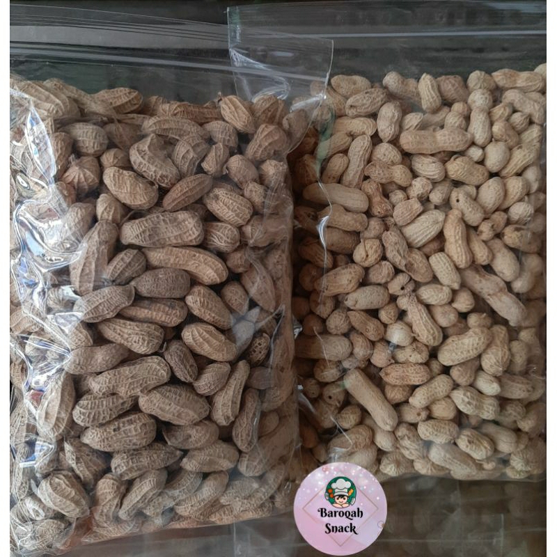 

KACANG KULIT 1/2KG(500GR) ASIN/OVEN DAN SANGRAI