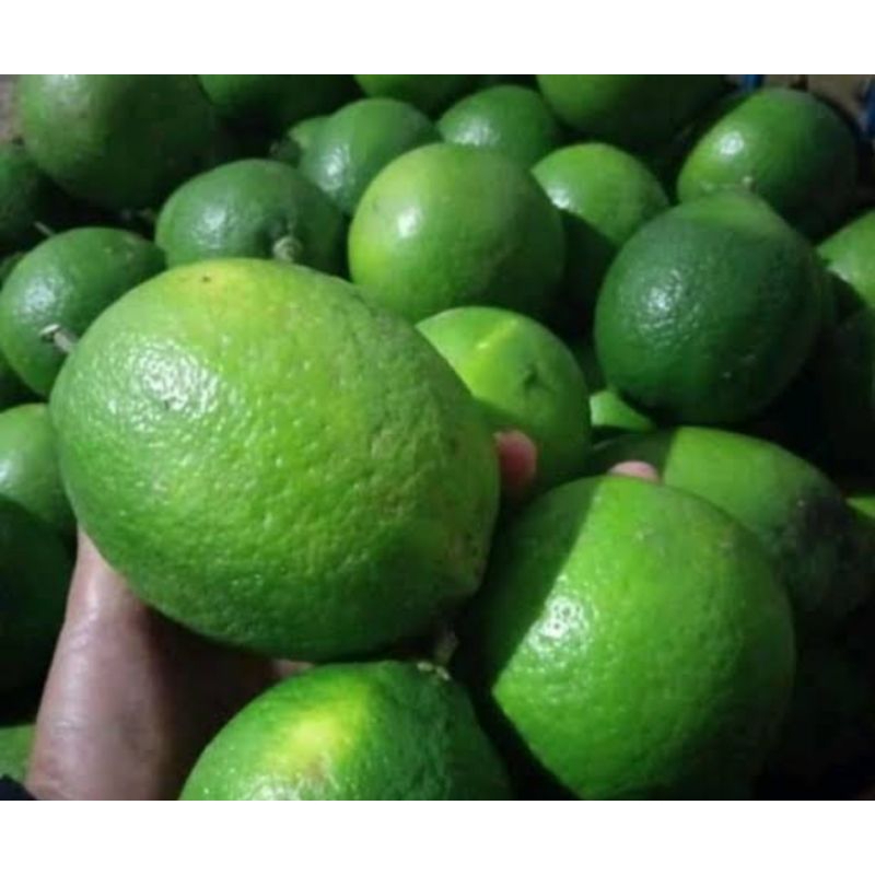 

Lemon hijau kalifornia organik