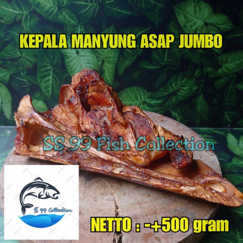 

TERBARU kepala manyung asap kepala manyung jumbo murah