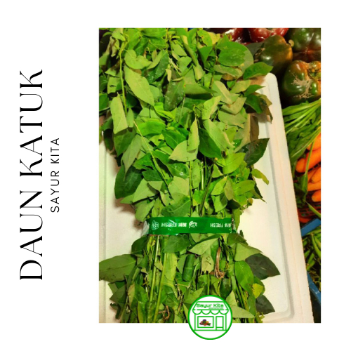 

Daun Katuk 500 gram