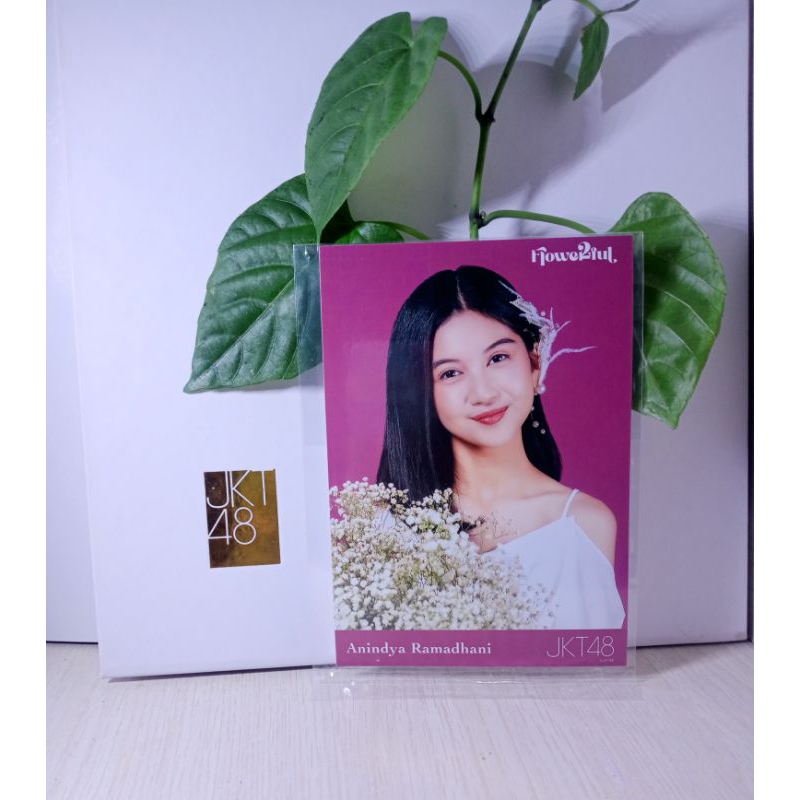photopack JKT48 flowerfull ANIN