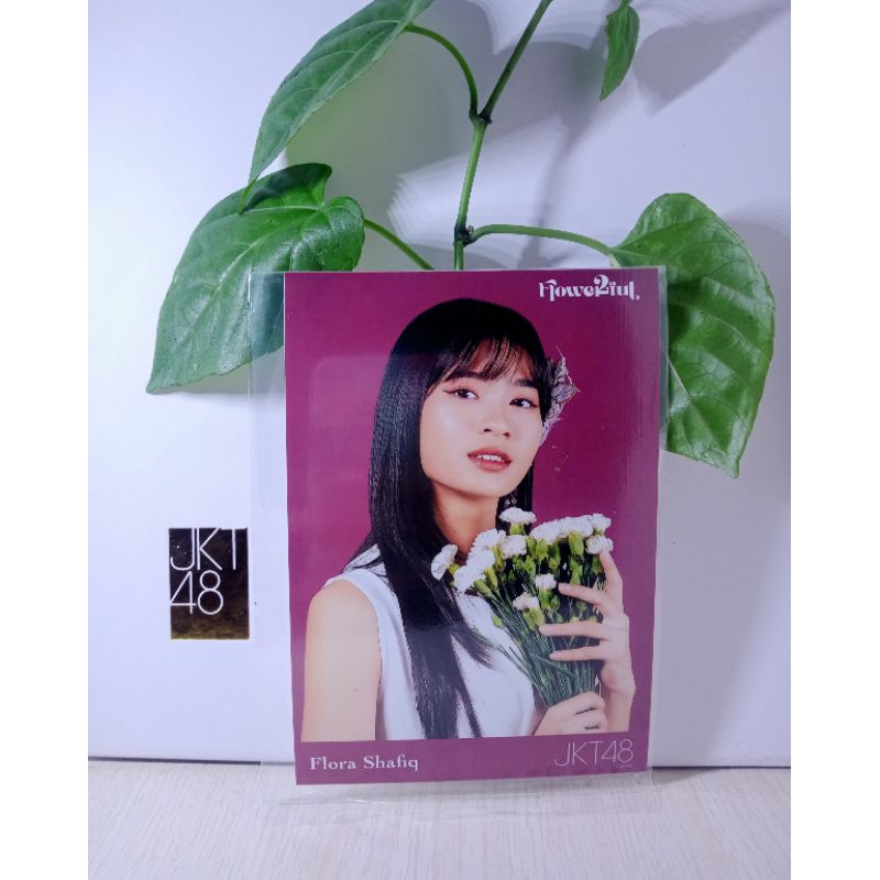 photopack JKT48 flowerfull FLORA