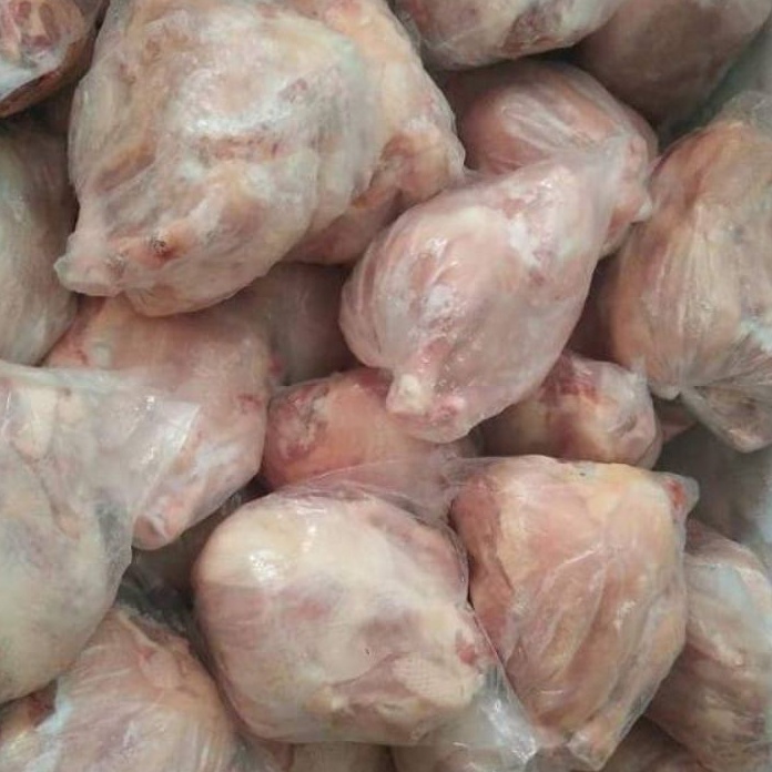 

Terlaku Ayam Boiler Karkas 5 6 7 8