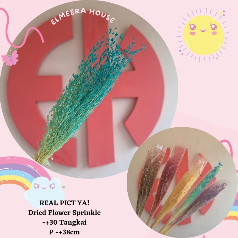 Bunga Sprinkle| Sprinkle Drled Flower