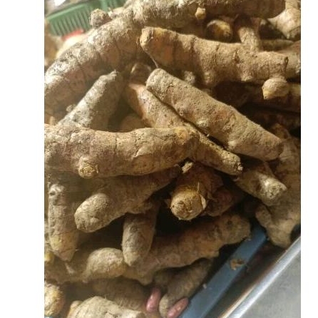

kunyit pajang 250gram