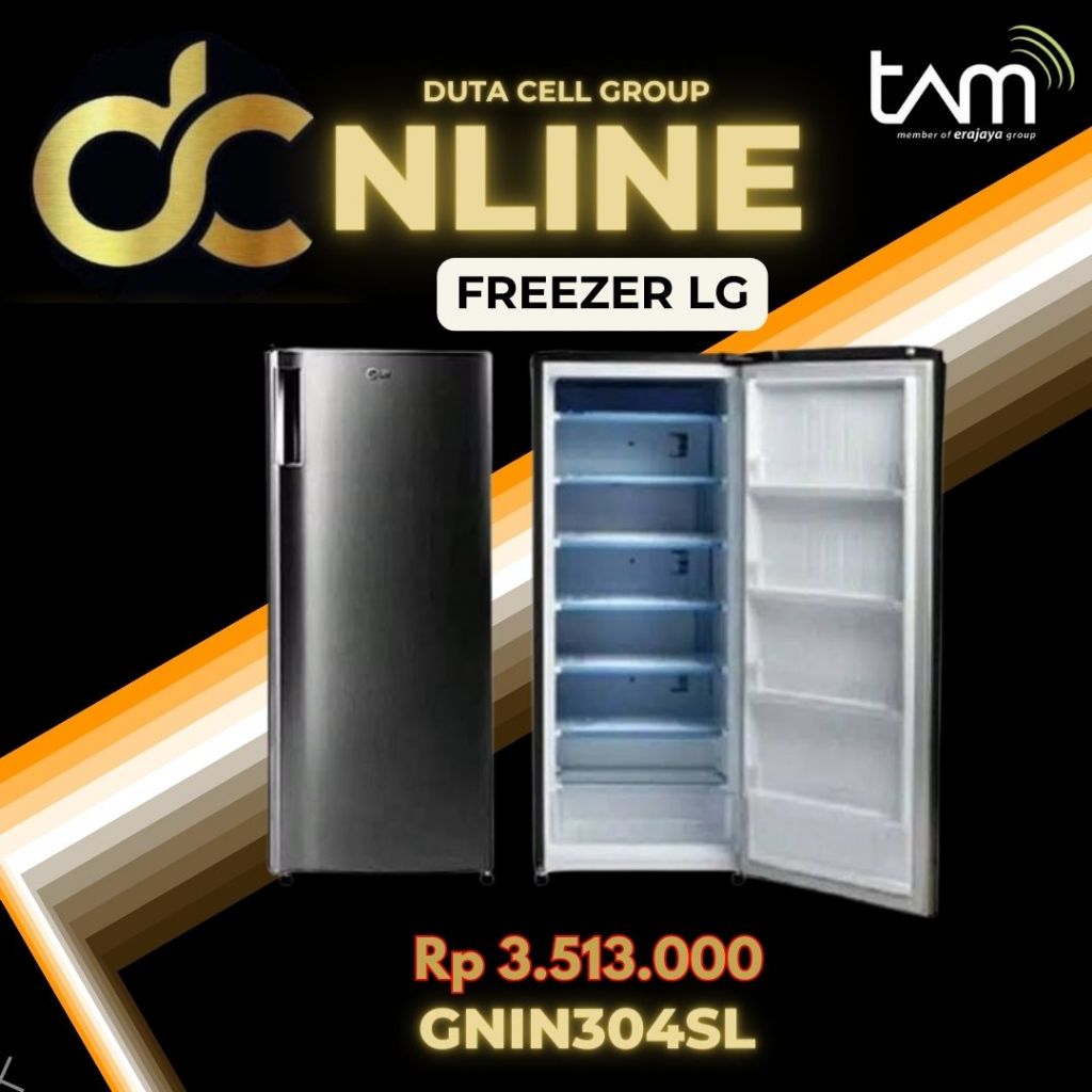 Freezer LG GNIN304SL
