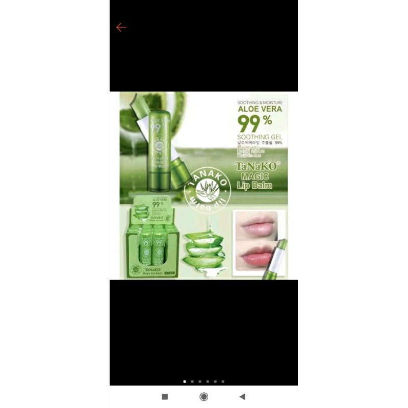 lip balm aloe vera