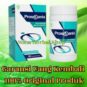 Prostanix Asli Herbal Original Obat Parasit