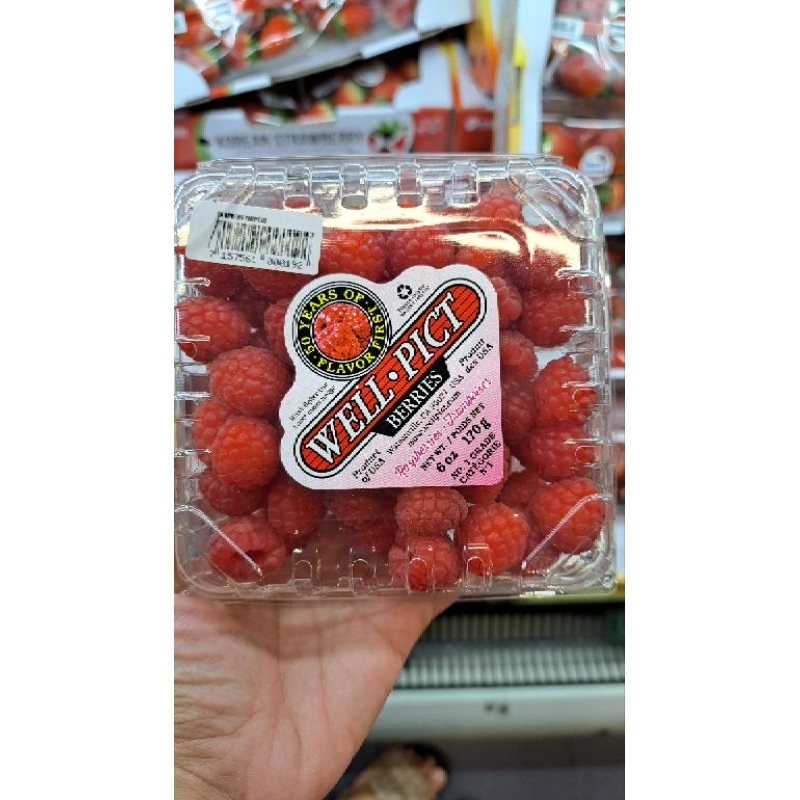 

Raspberry Wellpict USA Sweet 170 Grm