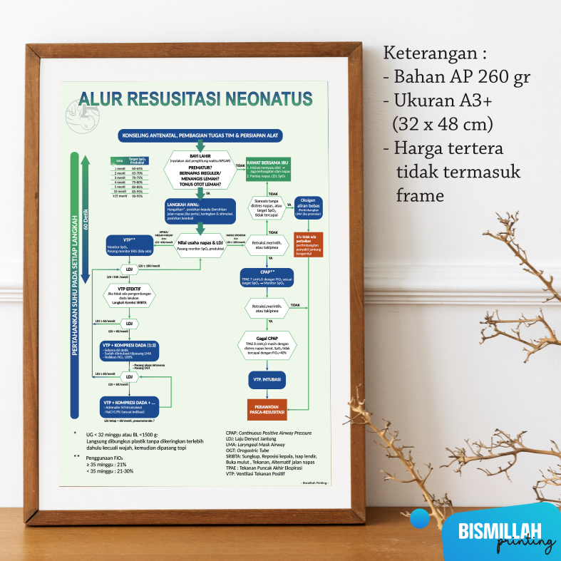 Poster kebidanan Resusitasi Neonatus