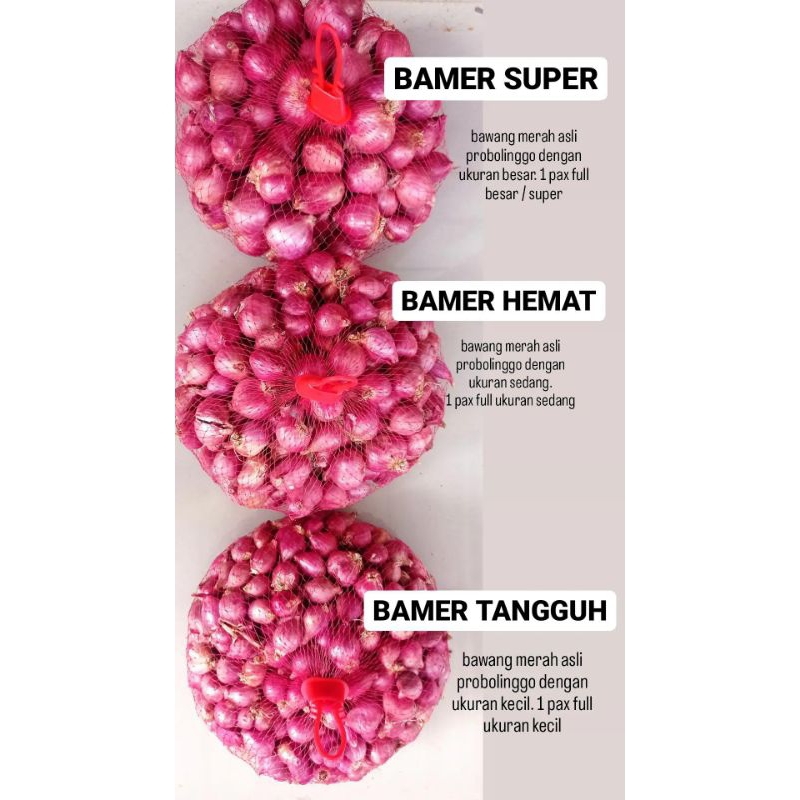 

Bawang Merah Probolinggo - SUPER