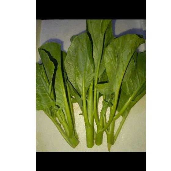

Beby kailan kota 250gram