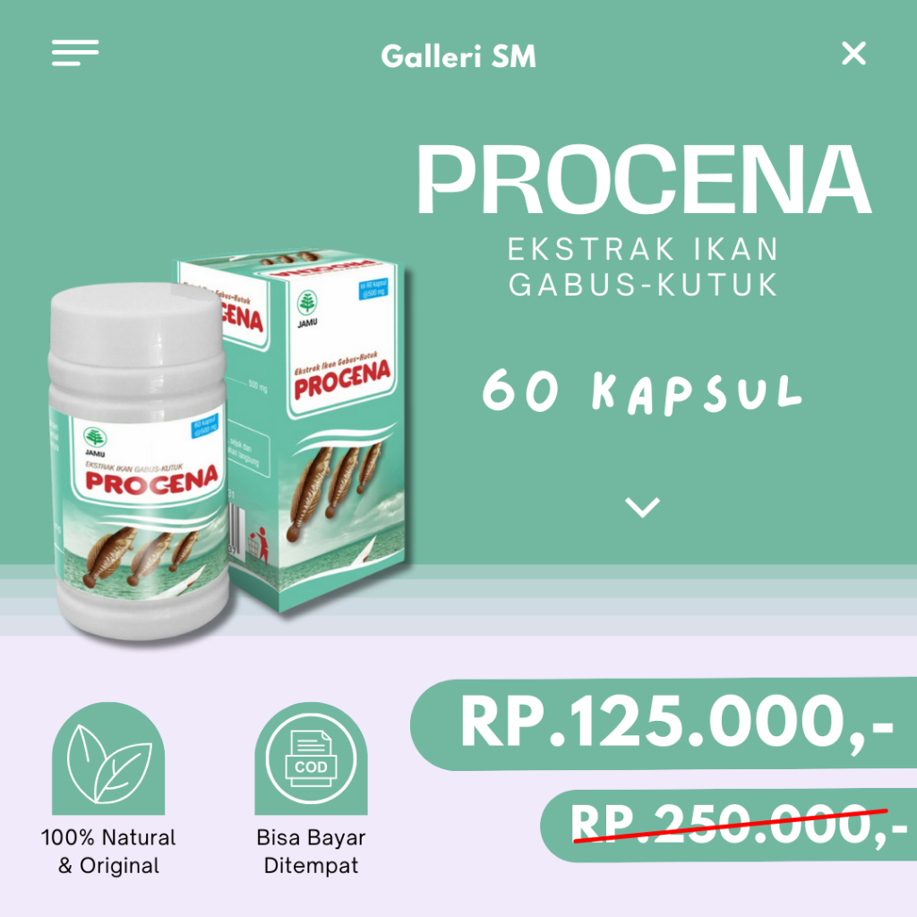 Procena Ekstrak Ikan Gabus Kutuk 60 Kapsul Obat Ampuh Penyembuhan Luka Original
