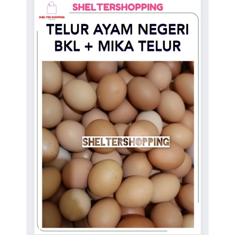 

(INSTANT) Telur Ayam Negeri BKL + MIKA TELUR Kemasan 1 KG dan 500 Gram