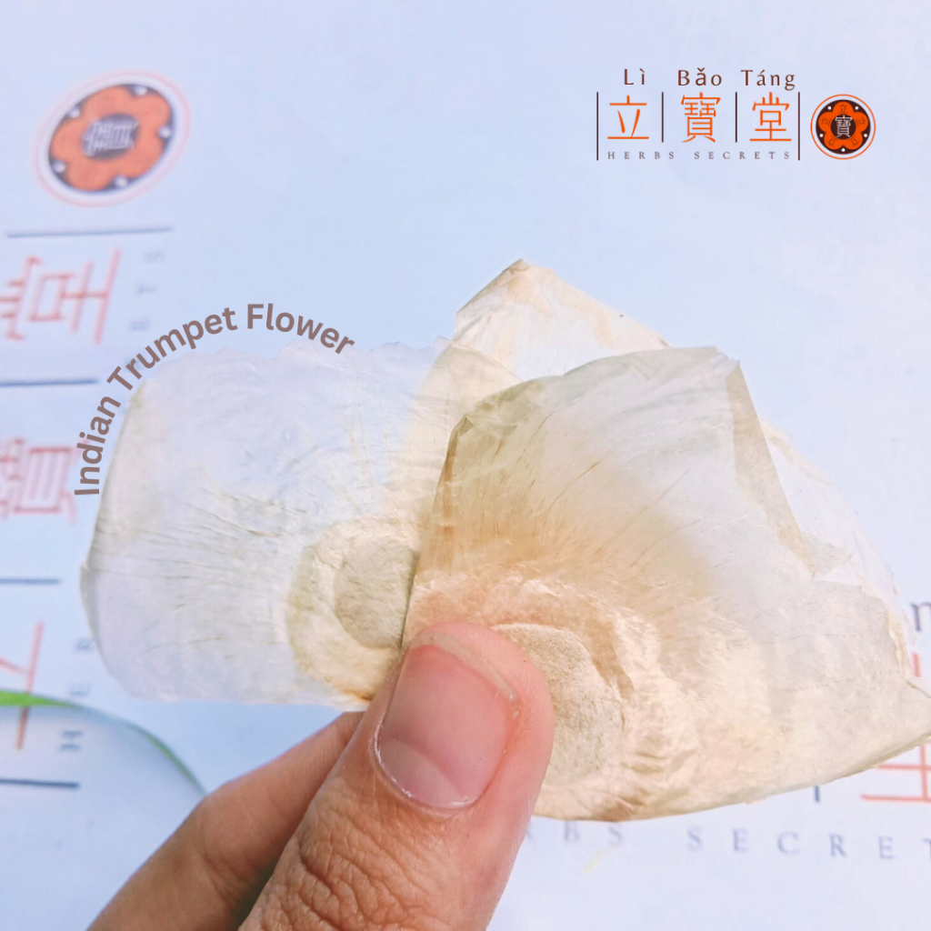 

Daun Kertas Seribu 千张纸 / 木蝴蝶 / Qian Zhang Zhi / Cien Cang Ce / Jade Butterfly / Indian Trumpet Flower 10Gr 25Gr 50Gr 100Gr