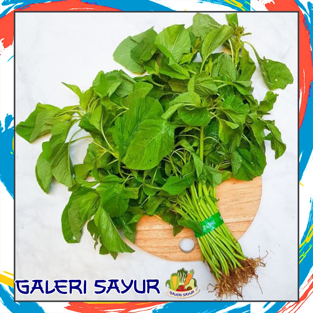 

KIRIM INSTAN Bayam Segar - Galeri Sayur