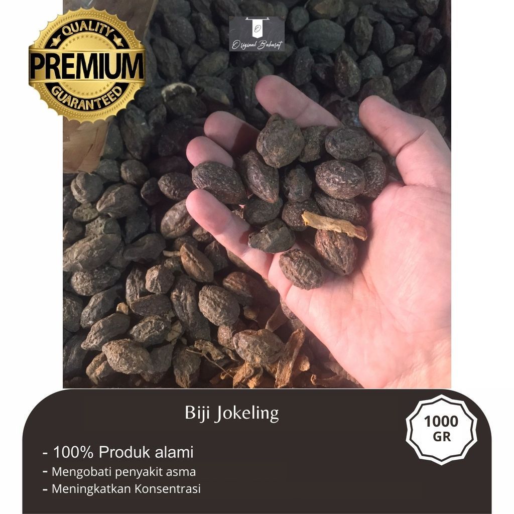 Biji Jokeling/Mojokeling Rempah PREMIUM QUALITY