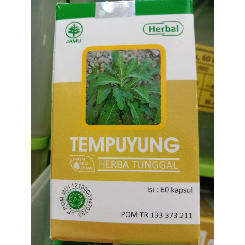 

HERBA TEMPUYUNG Hiu Obat Herbal Batu Empedu/Batu Ginjal. Isi 60 kapsul Original