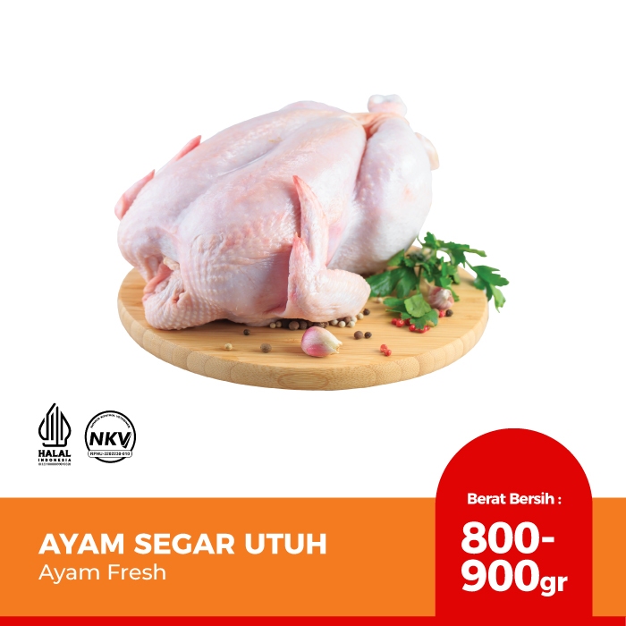 

Ayam Segar Utuh 800 - 900 gr - Ayam Fresh