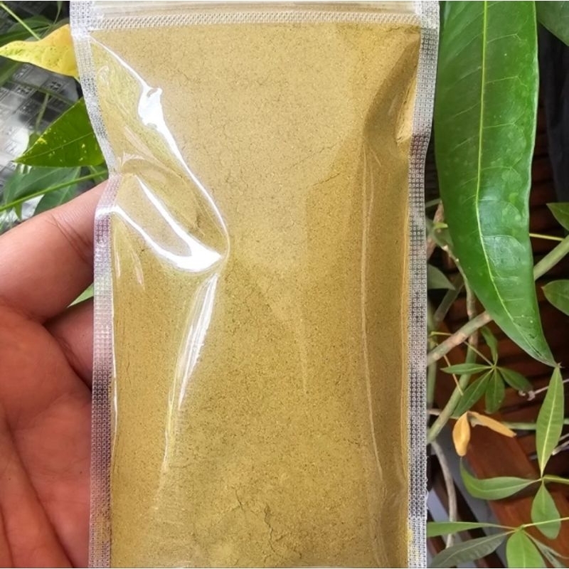 

Bubuk Daun Pepaya Asli 100 gram - Bubuk Daun Kates