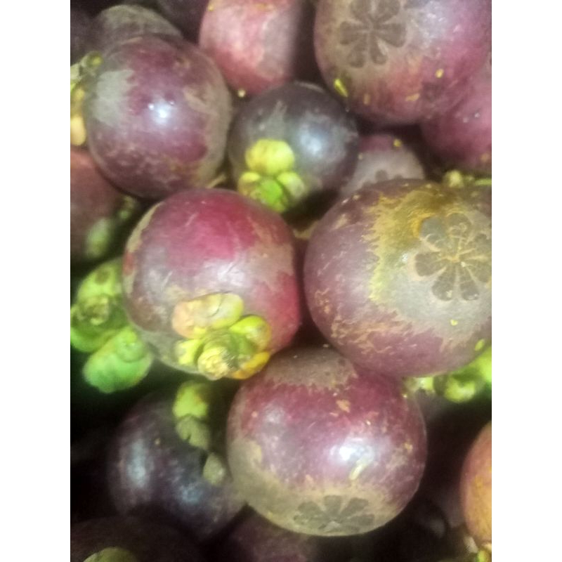 

BUAH MANGGIS 1 KG