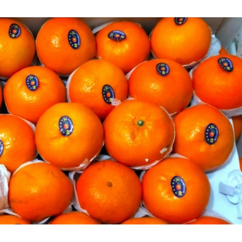 

Jeruk Mandarin 500g