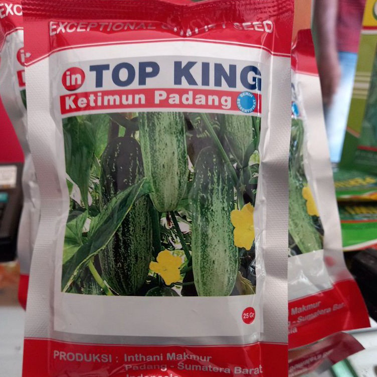Benih Timun Padang Top King 25 Gram ART DT4