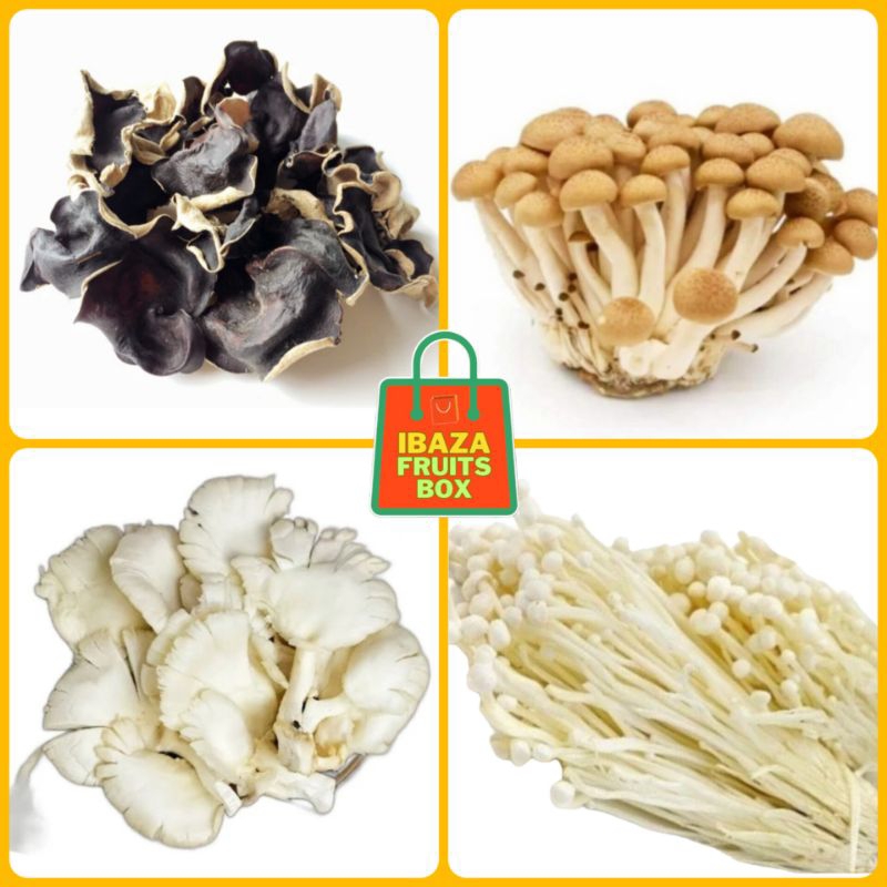 

Jamur Enoki, Jamur Tiram, Jamur Kuping, Jamur Shimeji Jamur Segar Ibaza fruitsBOX