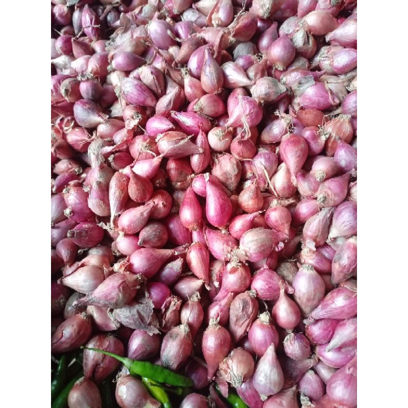

Bawang Merah brebes 200 gram