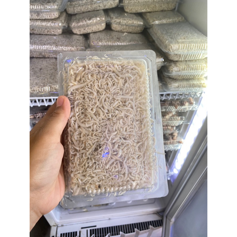 

Teri Nasi/Anchovies 250g