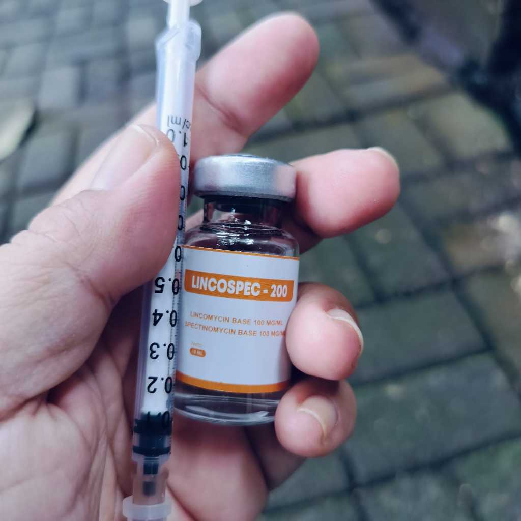 TERBARU LINCOSPEC ORIGINAL 200 - 10 ML + SPUIT OBAT AYAM SAKIT CRD SNOT PILEK CENGKREK