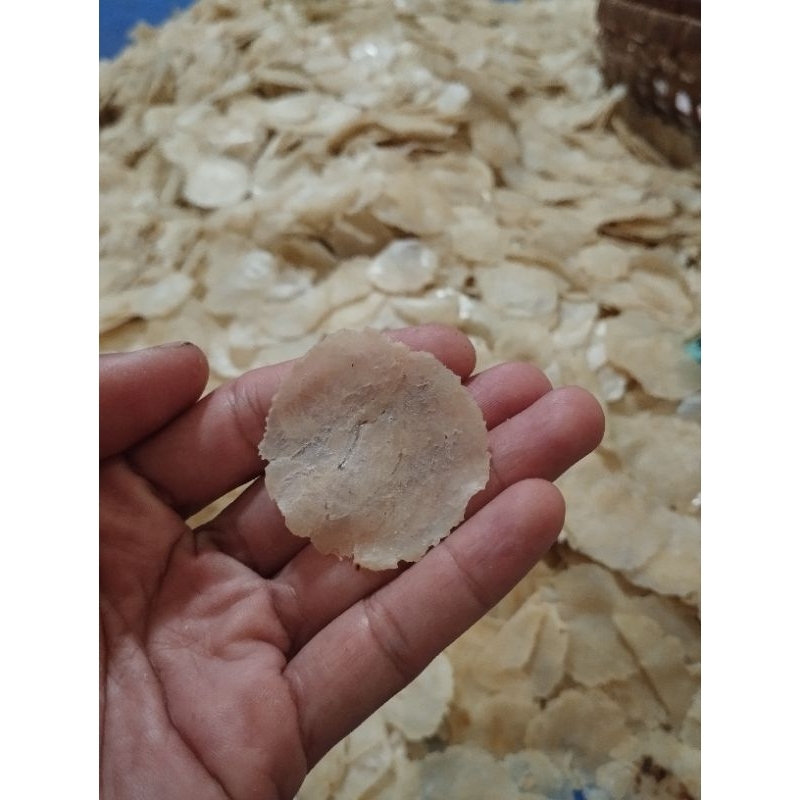 

EMPING MELINJO KHAS LIMPUNG KEMASAN 500GR