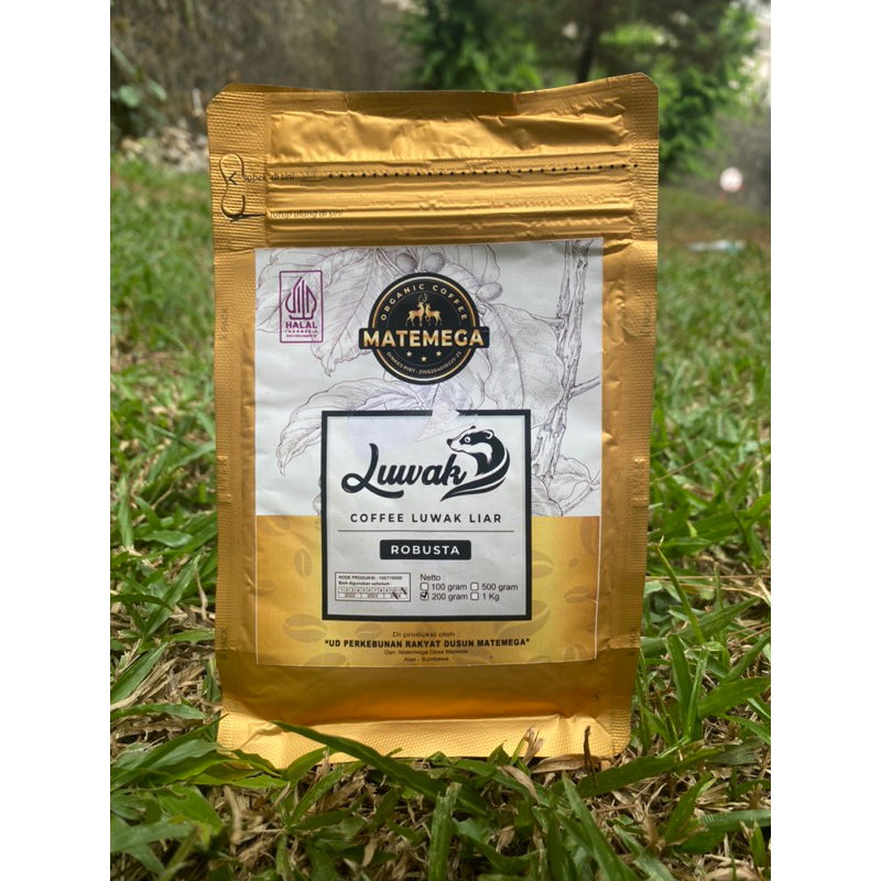 

kopi luwak khas sumbawa