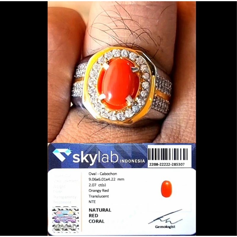 cincin marjan super asli dari Laut mediterania pesanan bose