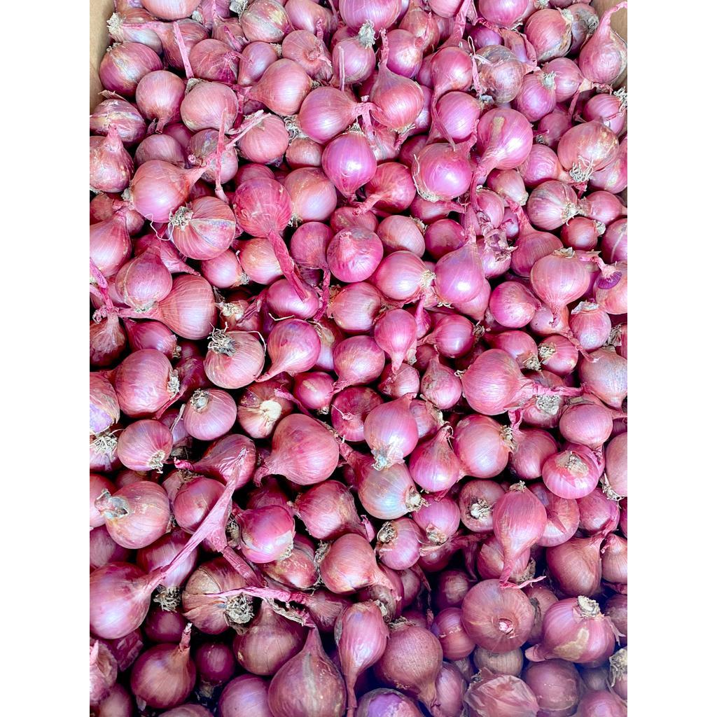 Bawang Merah 1KG