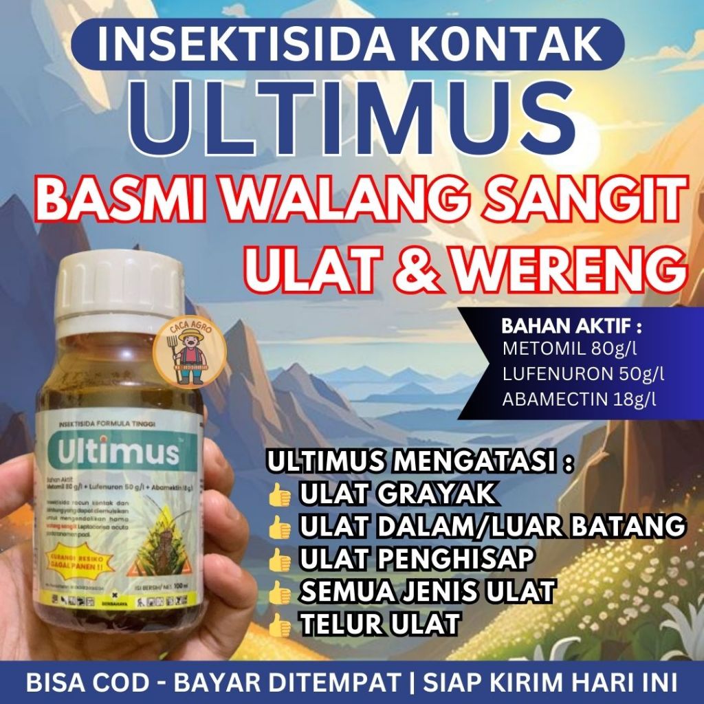 ULTIMUS PEMBASMI WALANG SANGIT & WERENG INSEKTISIDA KONTAK
