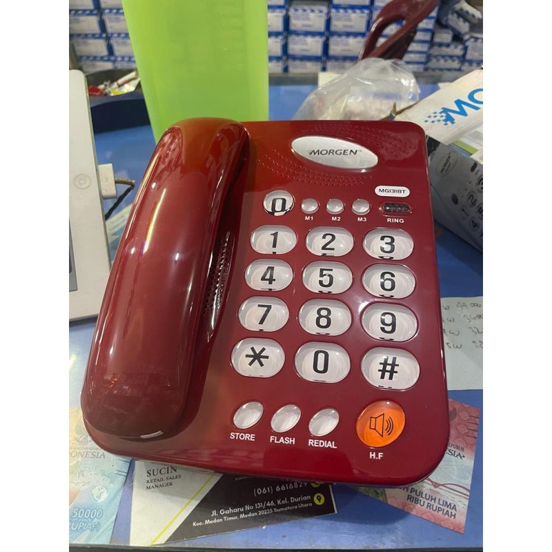 Morgen Telepon MG1318T portable phone