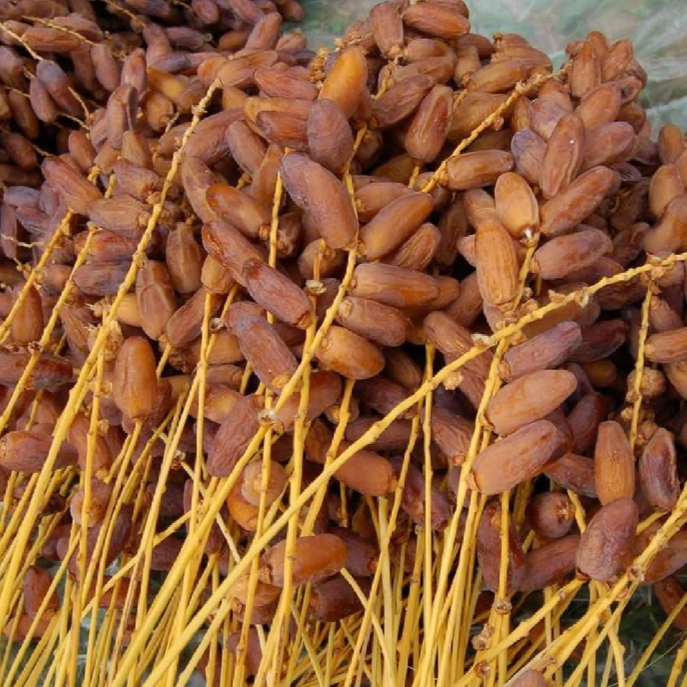

Kurma Palm Fruit/Kurma Tangkai 1kg